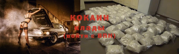 индика Лагань
