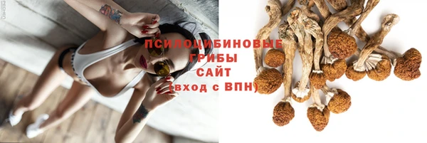 индика Лагань