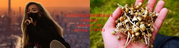 прущая мука Лабытнанги