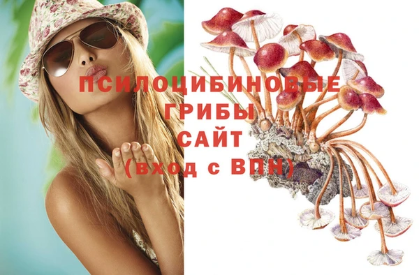 прущая мука Лабытнанги