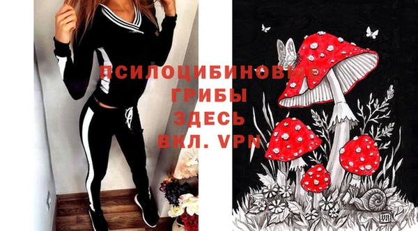 прущая мука Лабытнанги