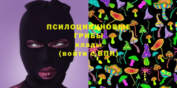 индика Лагань