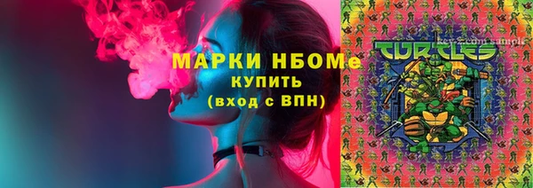 индика Лагань